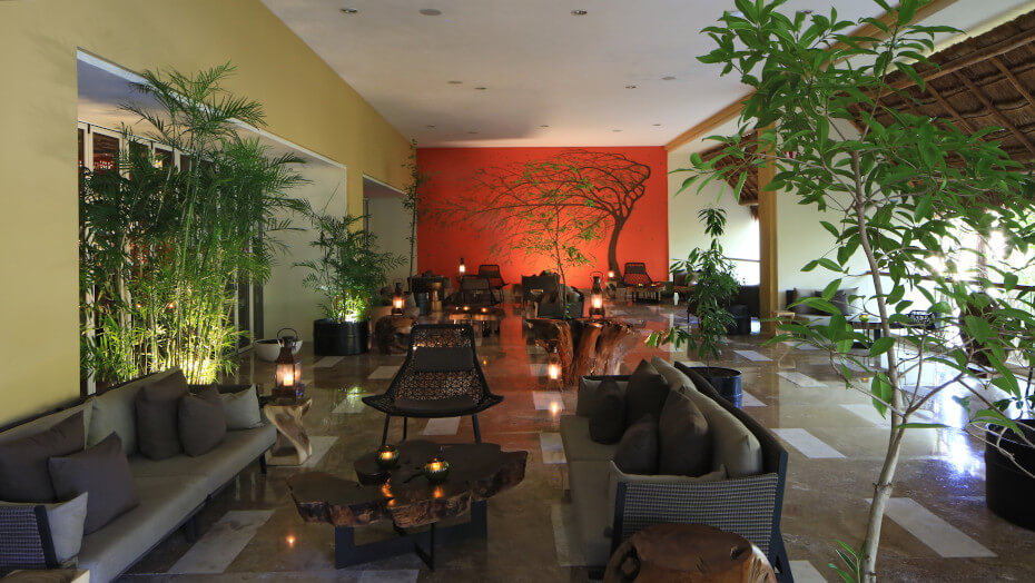 Koi Terrace
